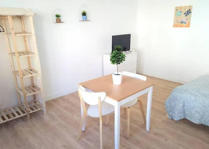 Grand Proche Gare 公寓 勒芒